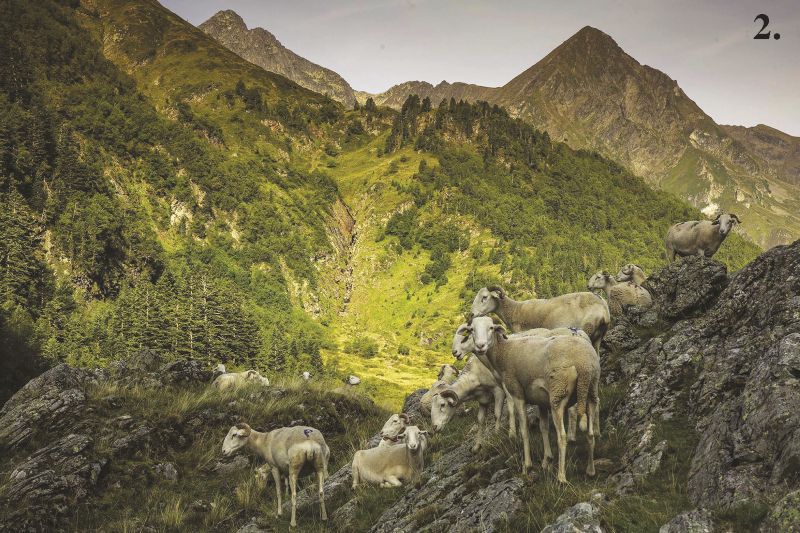 Evasion dans les montagnes françaises
