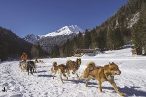 La France : l’art de savourer la montagne